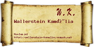 Wallerstein Kamélia névjegykártya